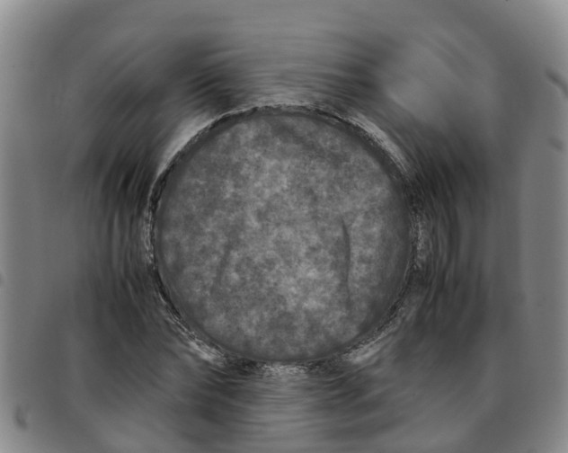 X0000097460878200803141849