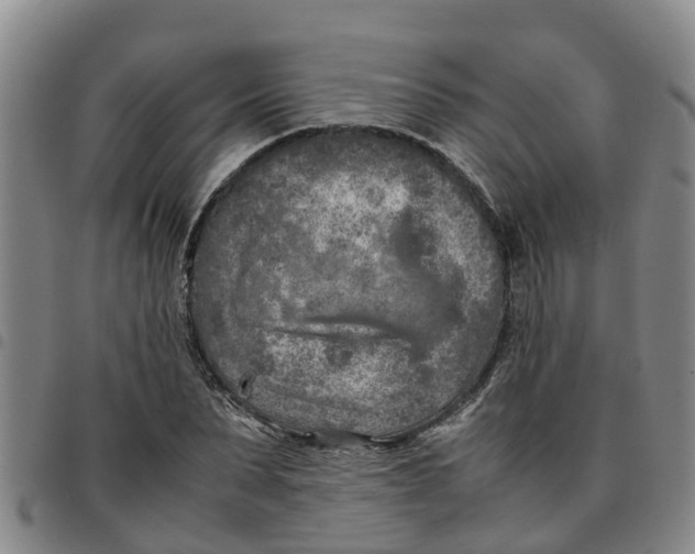 X0000097460879200803141849