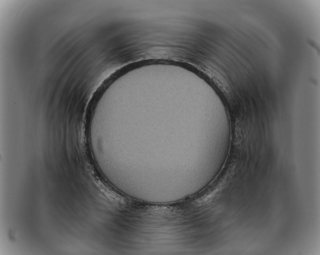 X0000097460880200803141849