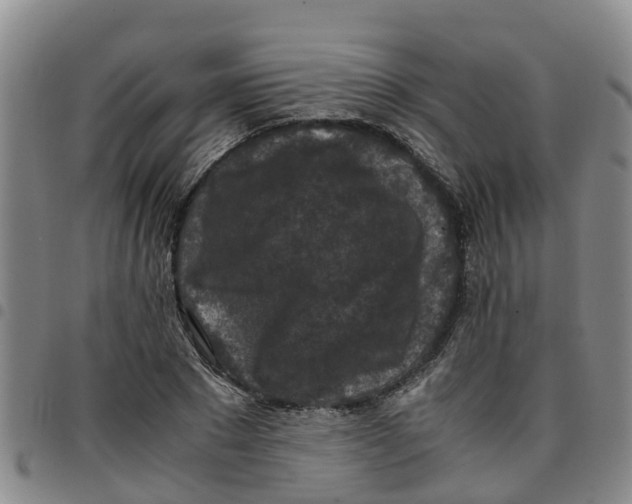 X0000097460881200803141849