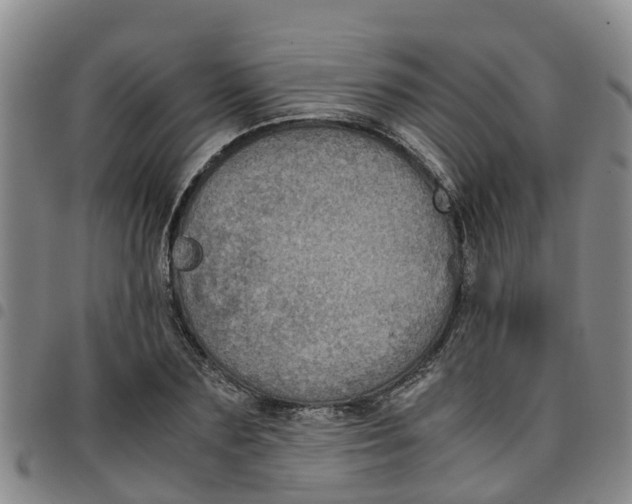 X0000097460883200803141849