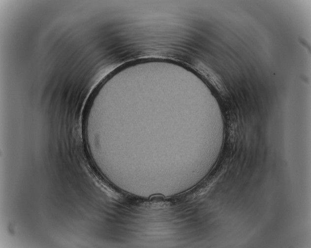 X0000097460884200803141849