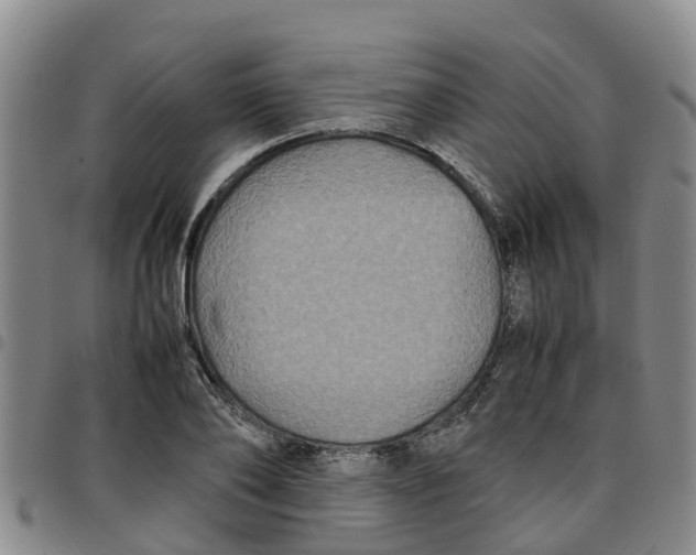 X0000097460886200803141849