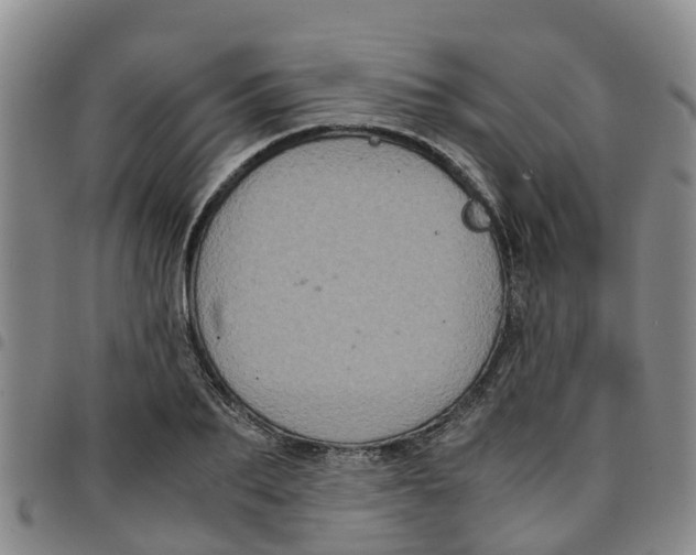 X0000097460887200803141849