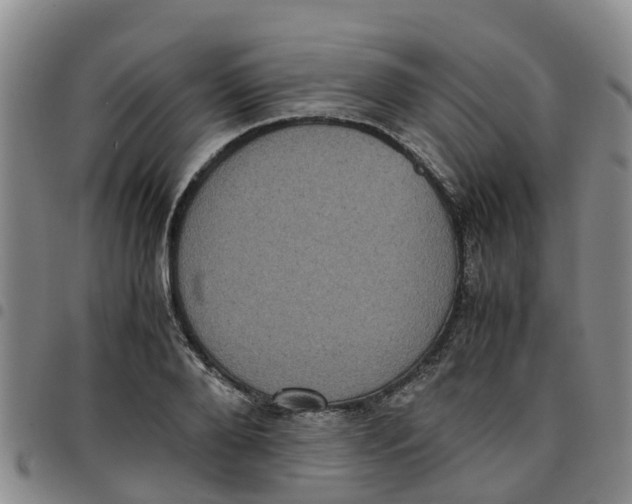 X0000097460888200803141849