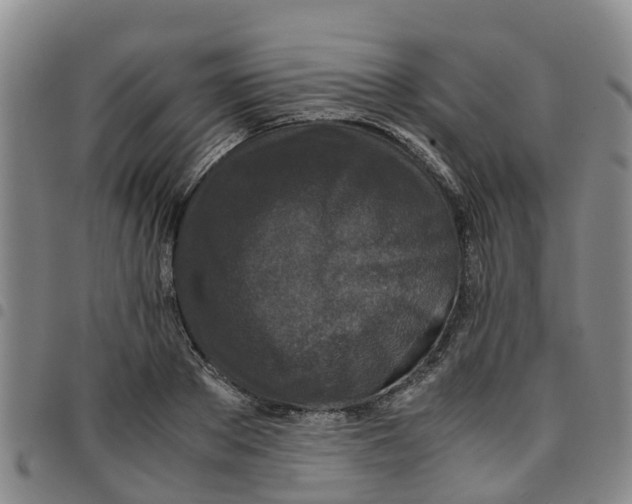 X0000097460889200803141849