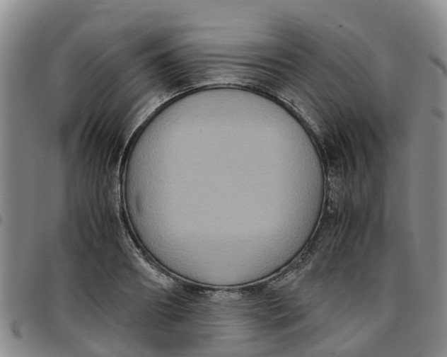 X0000097460890200803141849