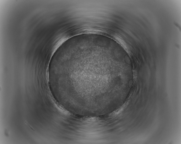 X0000097460891200803141849