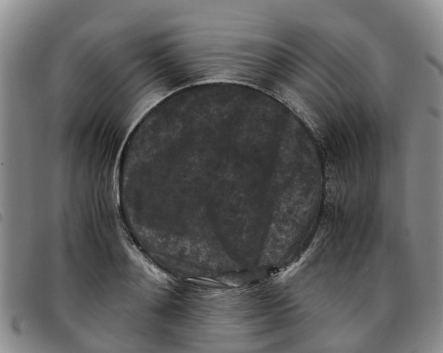 X0000097460892200803141849