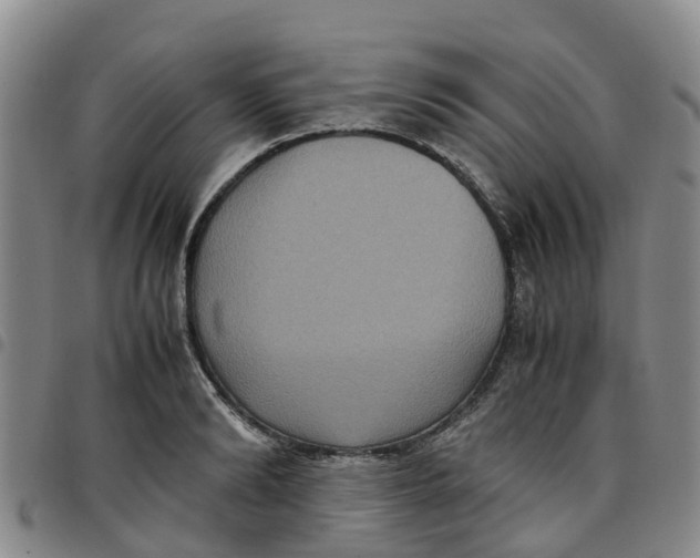 X0000097460894200803141849