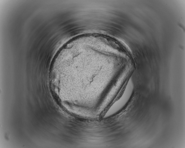 X0000097460895200803141849