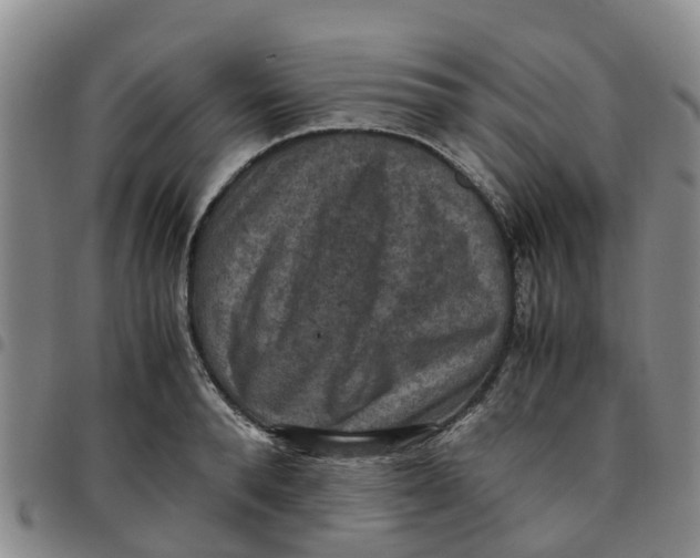 X0000097460896200803141849