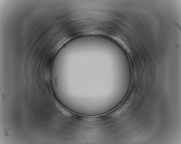 X0000097460897200803141849