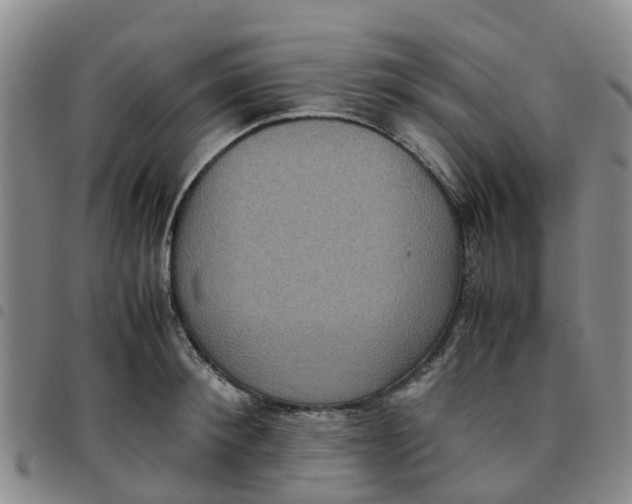 X0000097460900200803141849