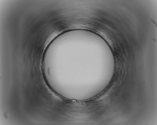 X0000097460901200803141849