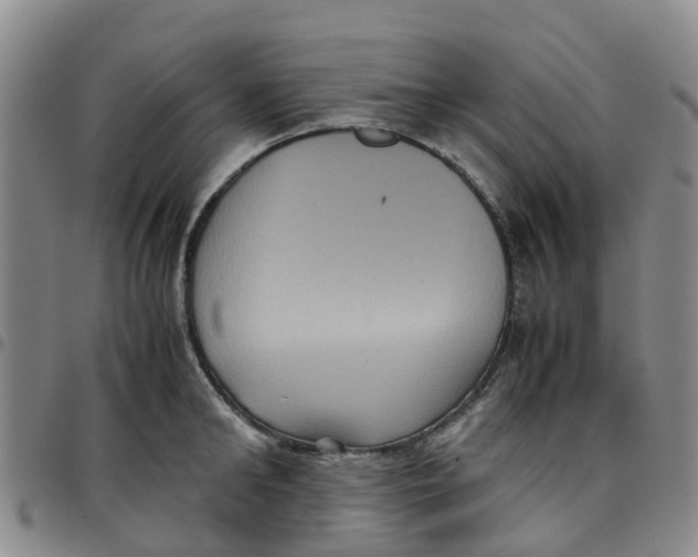 X0000097460902200803141849