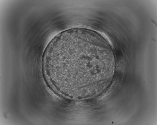 X0000097460903200803141849