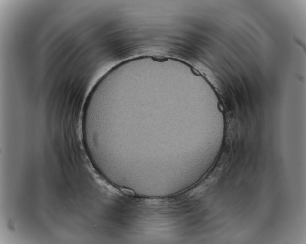 X0000097460904200803141849