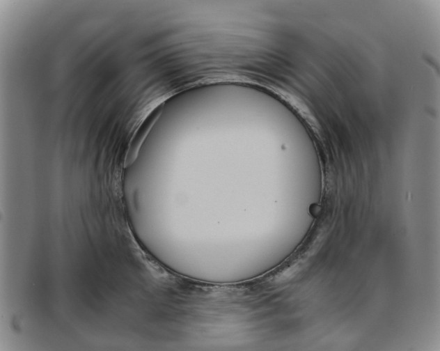 X0000097460905200803141849