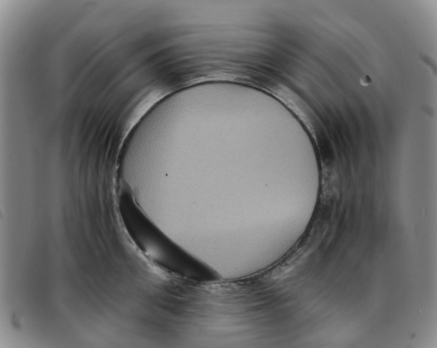 X0000097460906200803141849