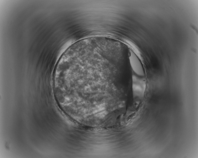 X0000097460907200803141849