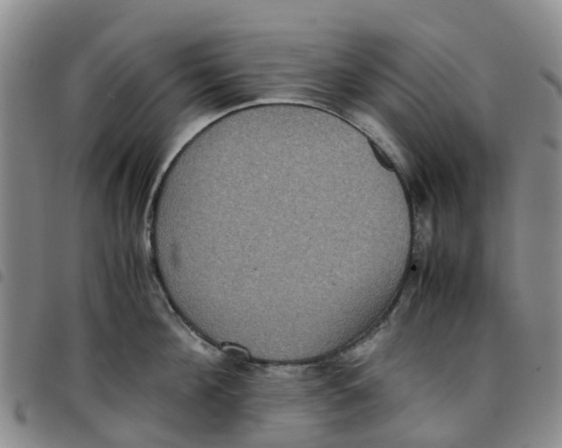 X0000097460908200803141849