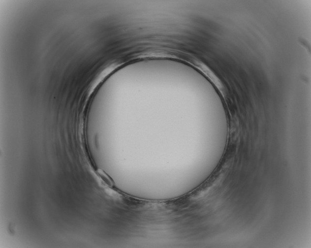 X0000097460909200803141849