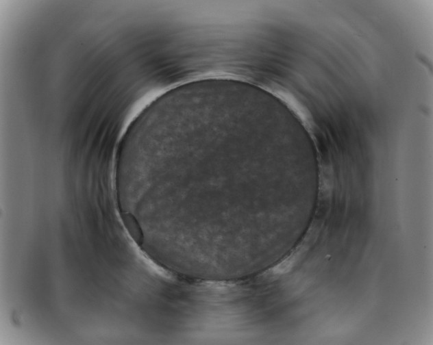 X0000097460910200803141849