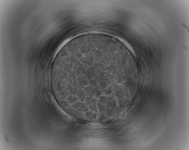 X0000097460911200803141849