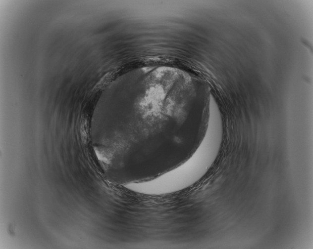 X0000097460915200803141848