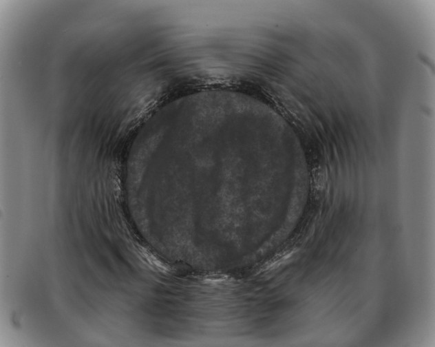 X0000097460916200803141848