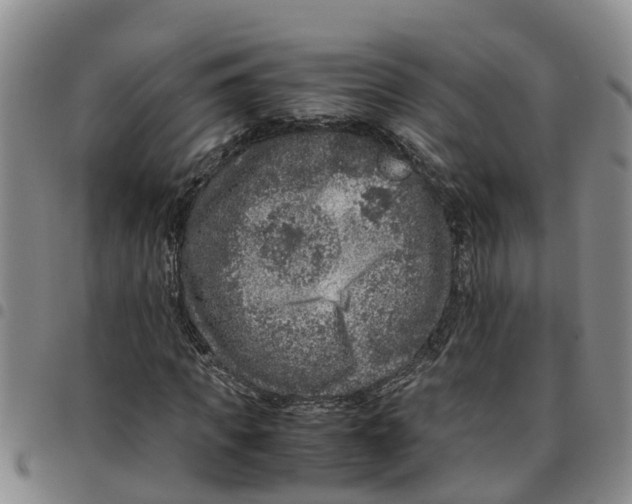 X0000097460917200803141848