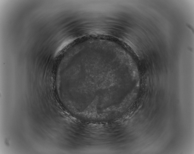 X0000097460919200803141848