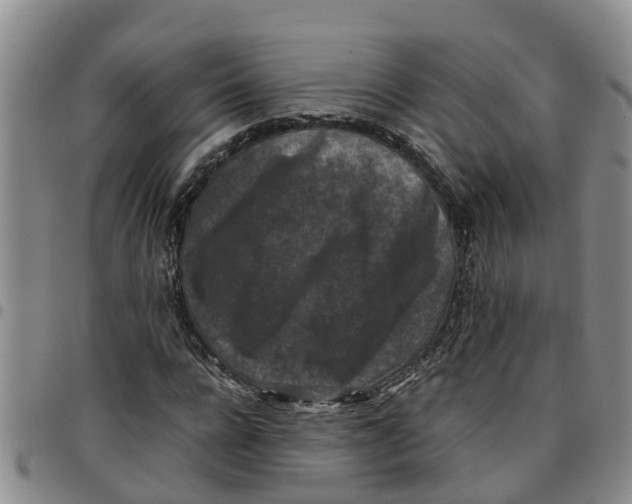 X0000097460920200803141848