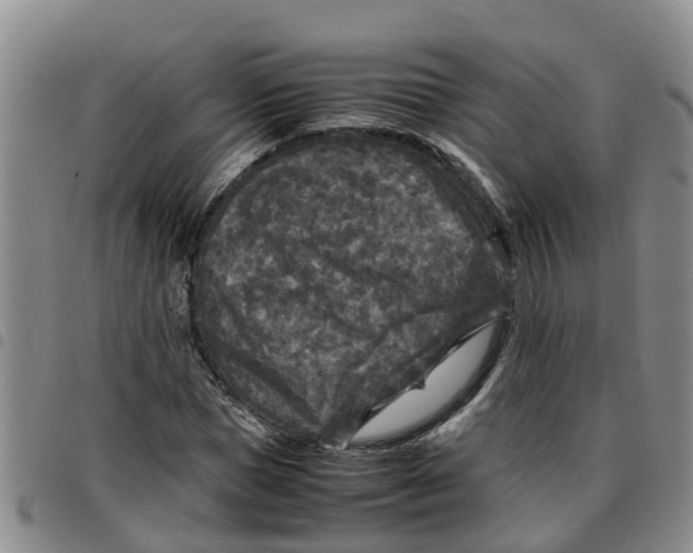 X0000097460921200803141848