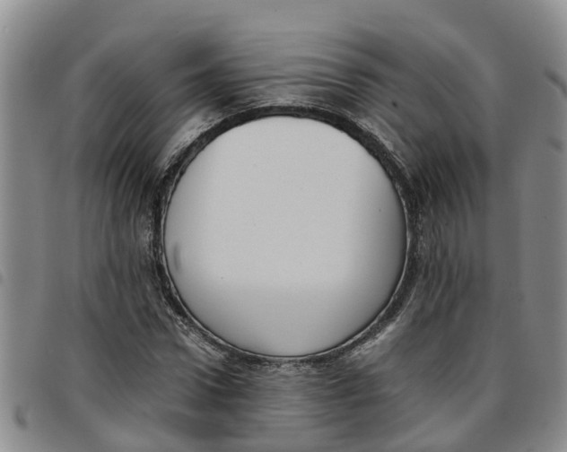 X0000097460922200803141848