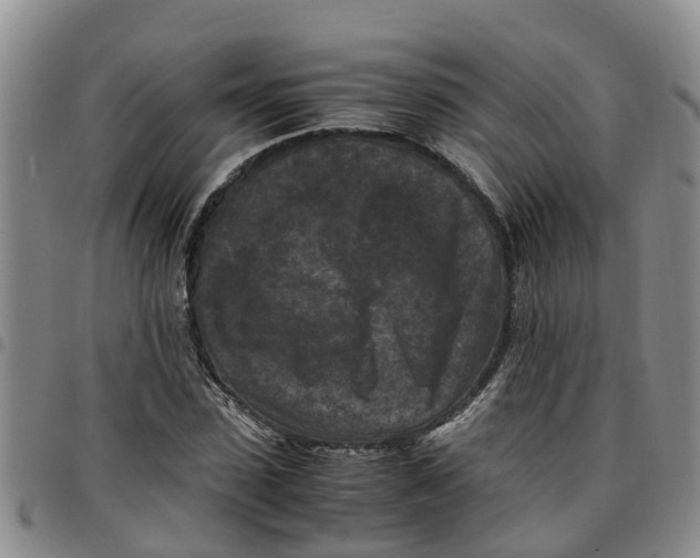 X0000097460923200803141848