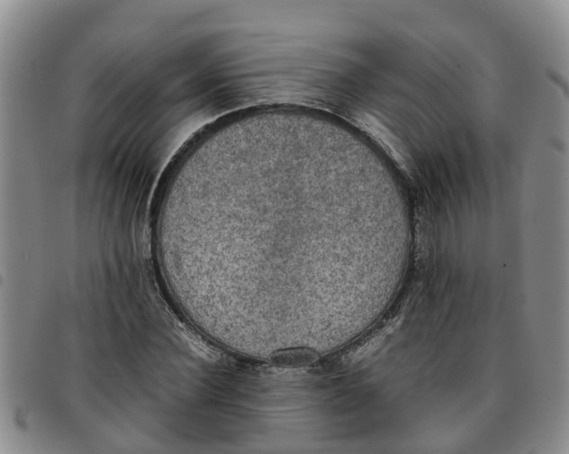 X0000097460924200803141848