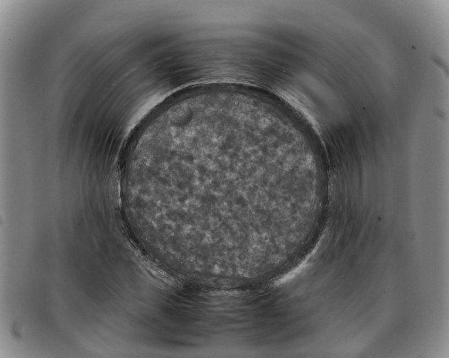 X0000097460925200803141848