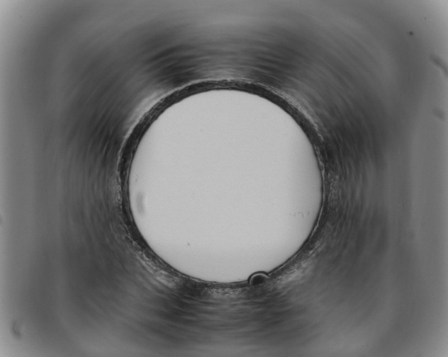 X0000097460927200803141848