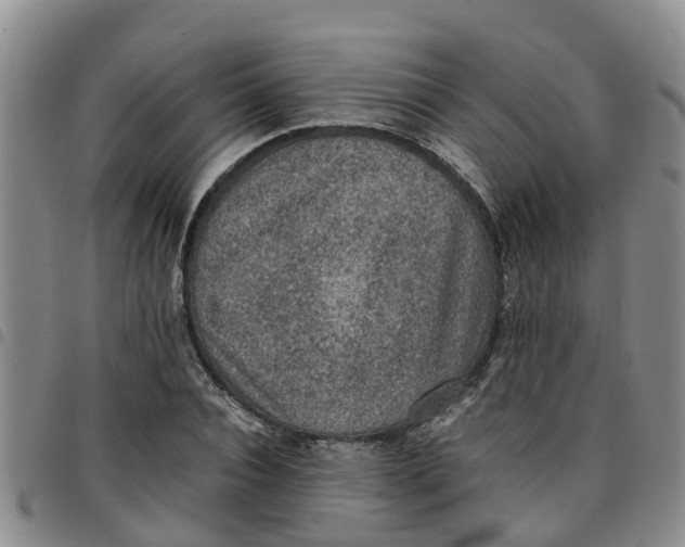 X0000097460928200803141848