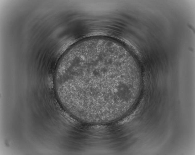 X0000097460929200803141848