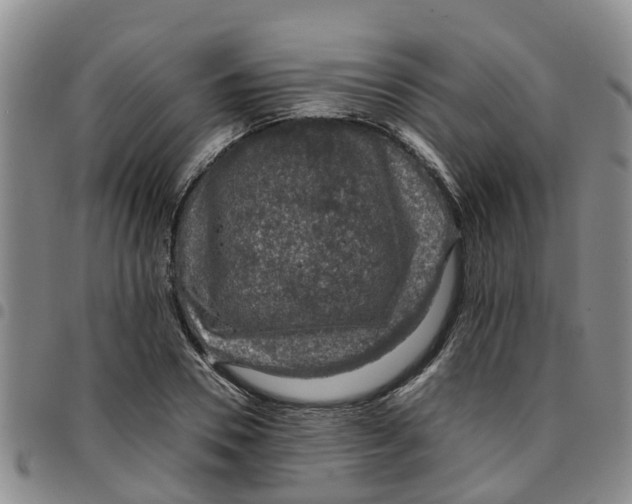 X0000097460930200803141848