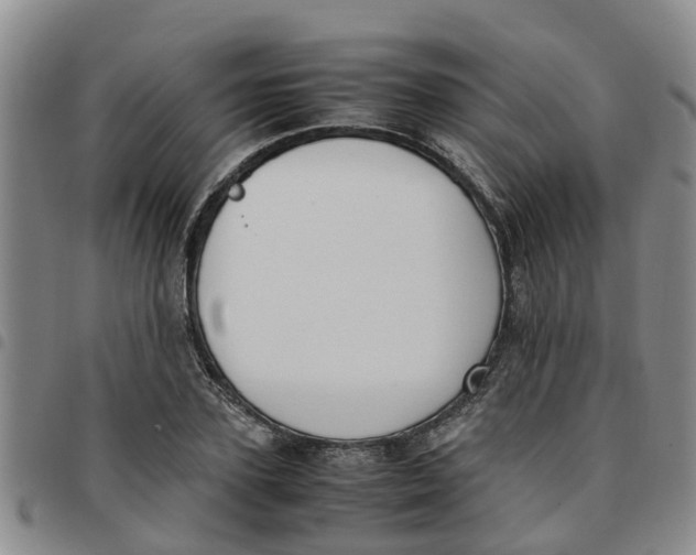 X0000097460931200803141848