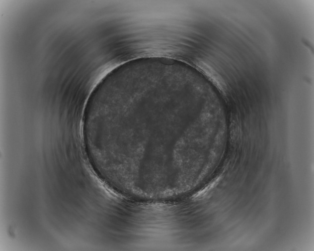 X0000097460932200803141848