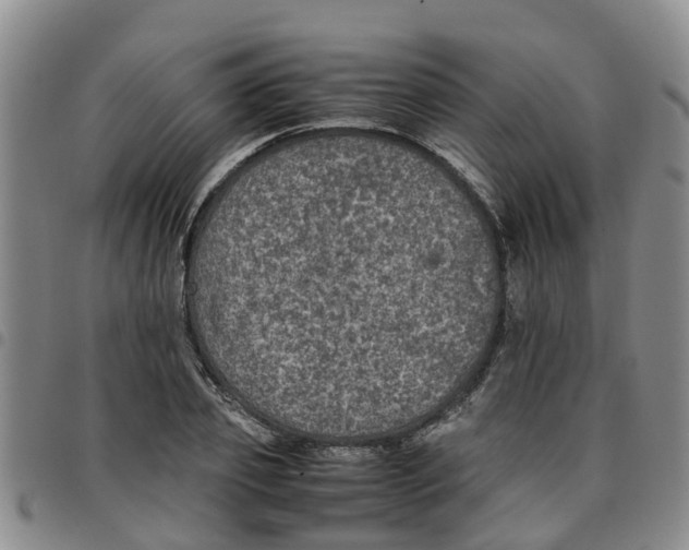 X0000097460933200803141848