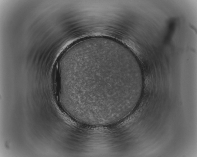 X0000097460934200803141848