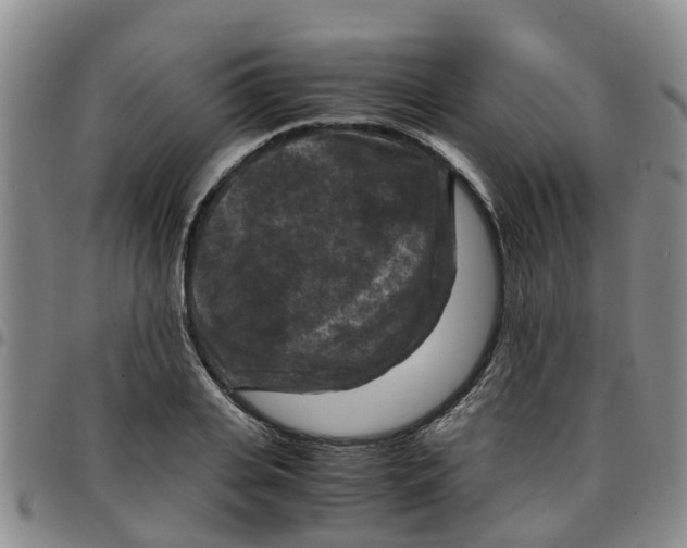 X0000097460935200803141848