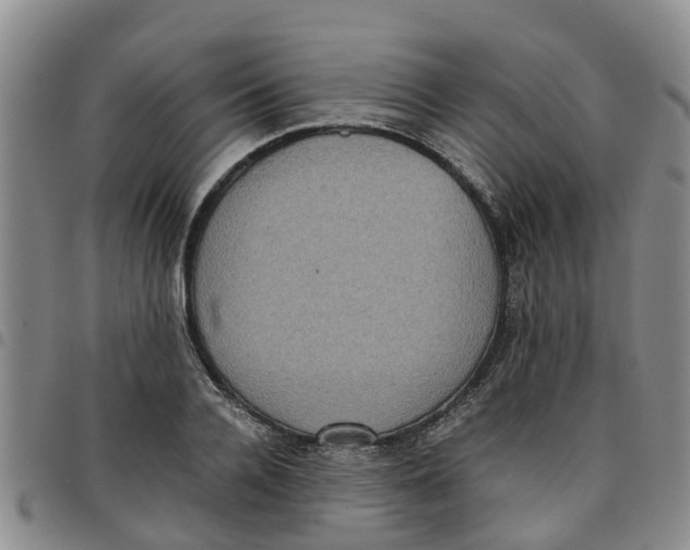 X0000097460936200803141848