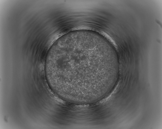 X0000097460937200803141848